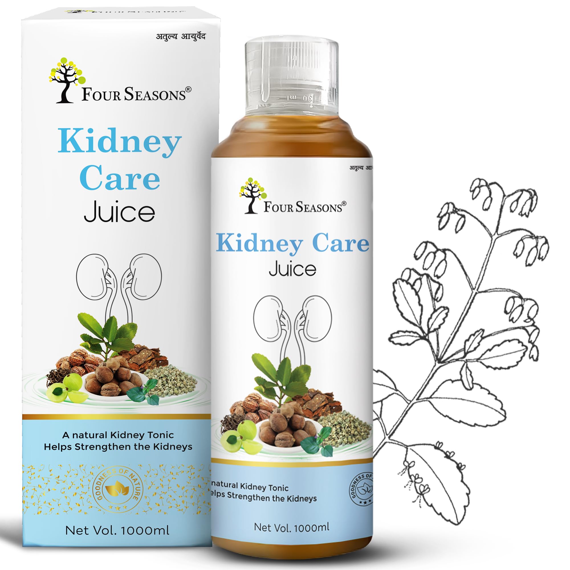 Four Seasons Kidney Care Juice 1000ml | Kidney Detox | Enriched with 21 Herbs Amla, Harad, Bhumi Alma, Jeera, Hing, Pudina | No Chemical & Added Sugar (1) (B09ZPJ2ZQ3) Amazon Price History, Amazon Price Tracker