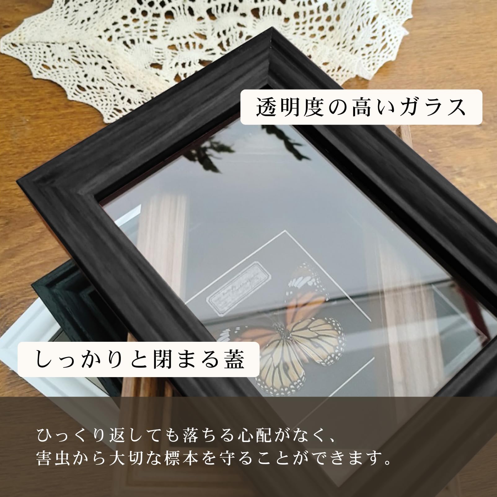Amazon.co.jp: COZENTA 標本箱 シーラケース 昆虫 小型 木製 MDF