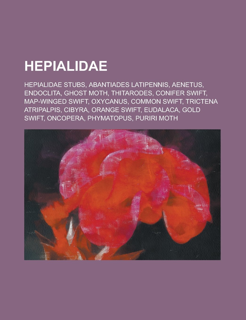 Amazon.co.jp Hepialidae Abantiades Latipennis, Endoclita