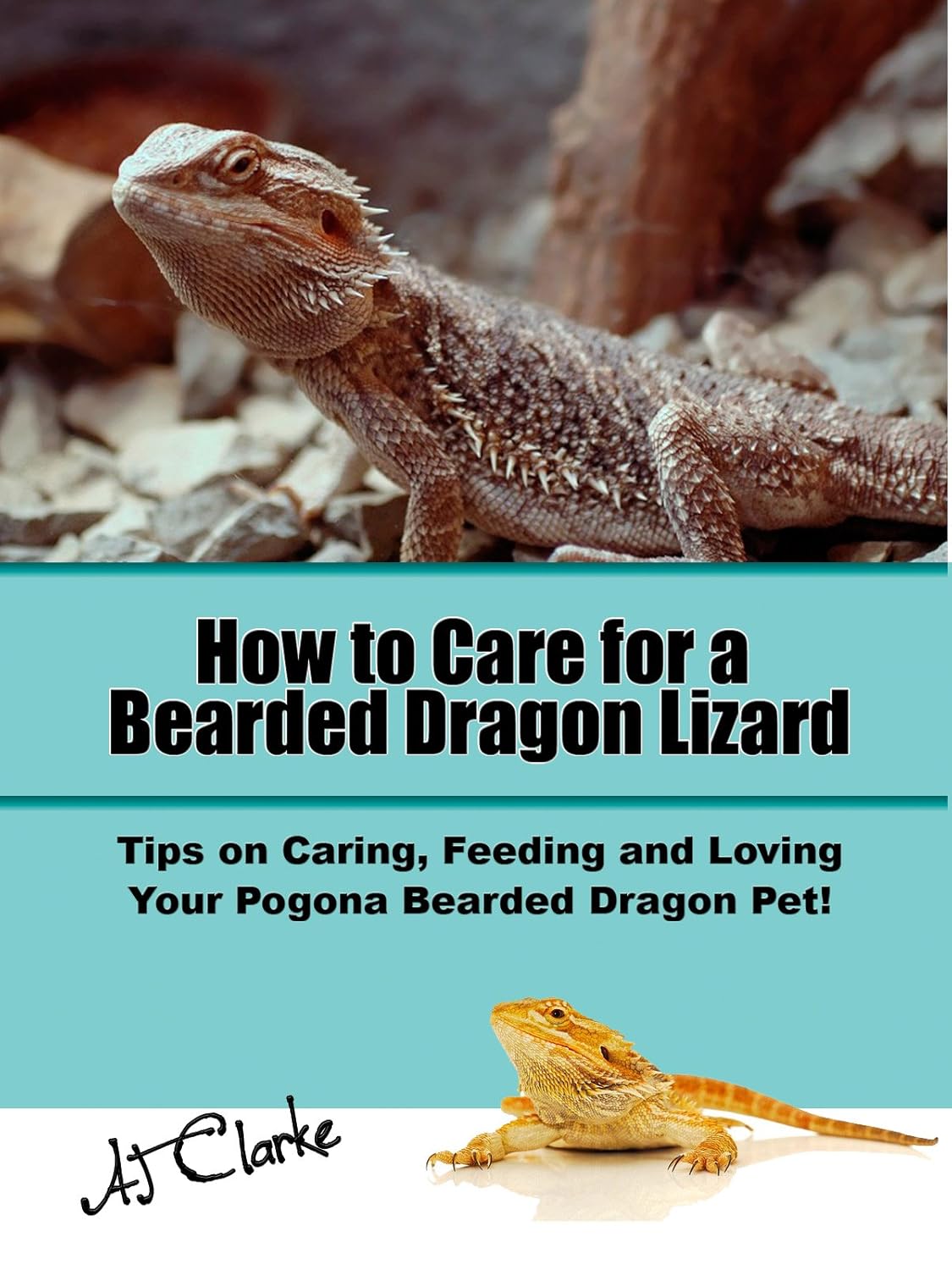 How to Care for a Bearded Dragon Lizard "Tips on Caring, Feeding and