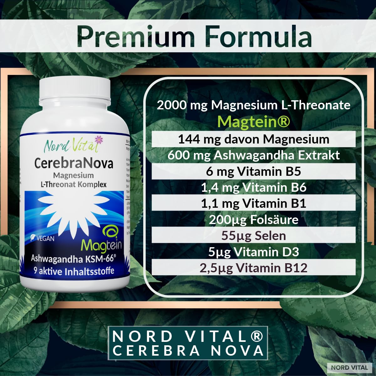 Magnesium Threonate - Magtein & Ashwagandha Komplex – Hochdosiert mit 2000 mg Magtein, 600 mg Ashwagandha KSM-66®, Vitaminen B1, B5, B6, B9, B12, D & Selen – Nord Vital Cerebra Nova - 120 Kapseln