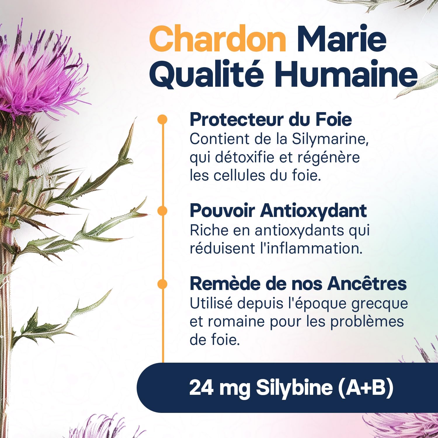 Complément Foie pour Chiens de Taille Moyenne - Complément De Chardon Marie pour Le Soutien du Foie des Chiens - avec S-adénosylméthionine (Same) Et Silybine - 30 Comprimés