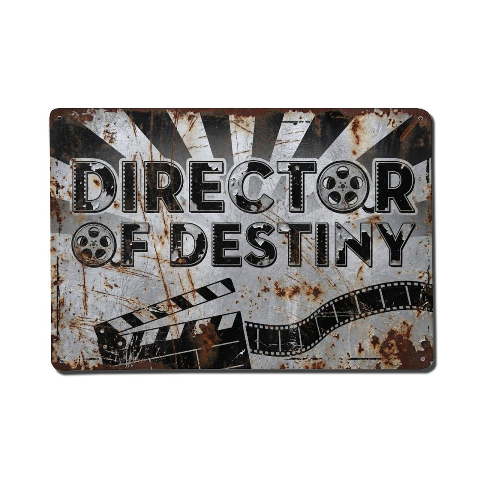Director of Destiny Control Retro Motivational Slogans Metal Tin Sign