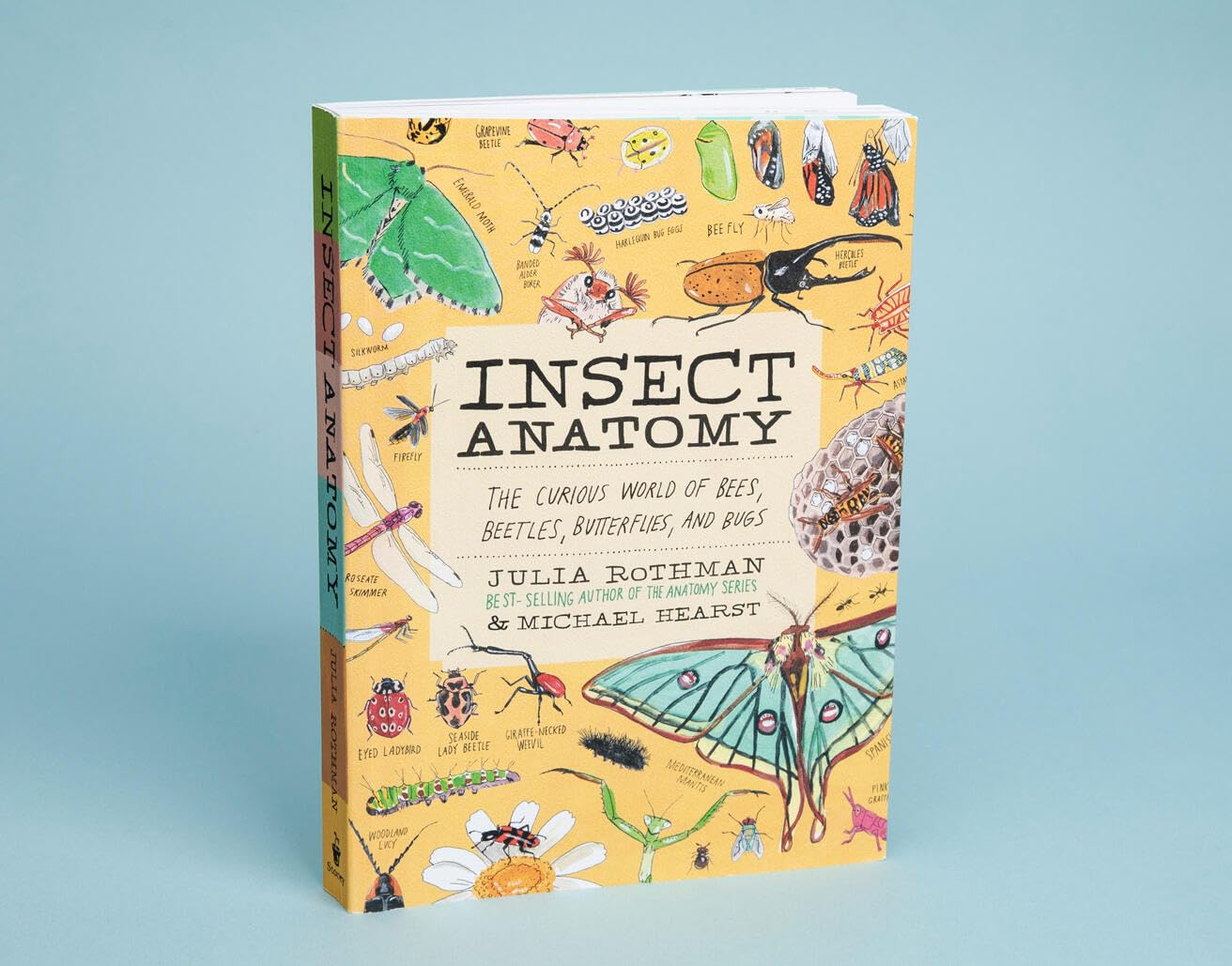 Insect Anatomy: The Curious World of Bees, Beetles, Butterflies, and Bugs