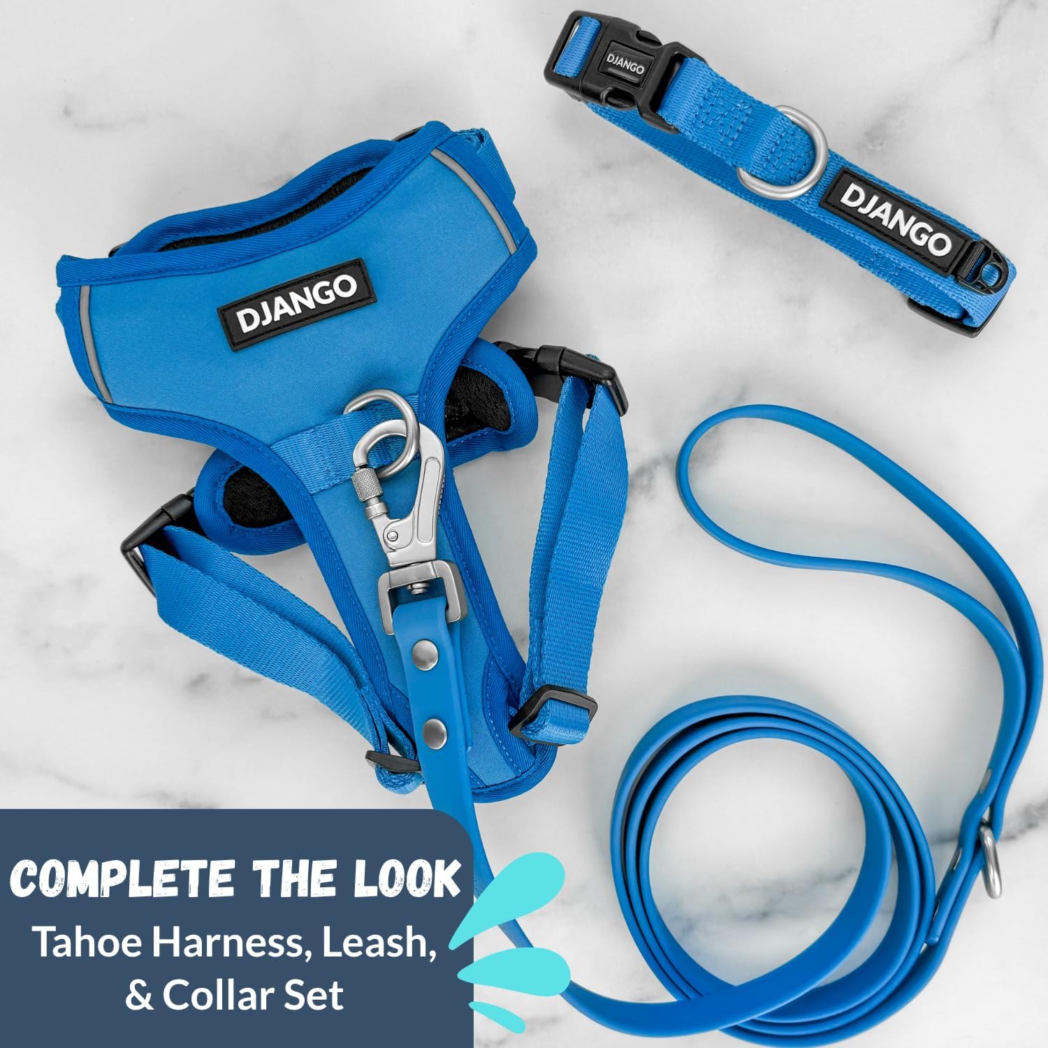 DJANGO Tahoe Waterproof Dog Leash – 5ft Durable Waterproof Dog Leash for Small Dogs with Locking Carabiner Clip, Odor-Proof Coated Webbing, Soft Grip, & Premium Silver Hardware – Alpine Blue