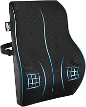 Orthopedic Back Brace Memory Foam Lumbar Support Backrest Long for Upper, Middle and Lower Back Pain Compatible with Computer, Car, Office Chair with Mesh Cover & Adjustable Strap (Black)