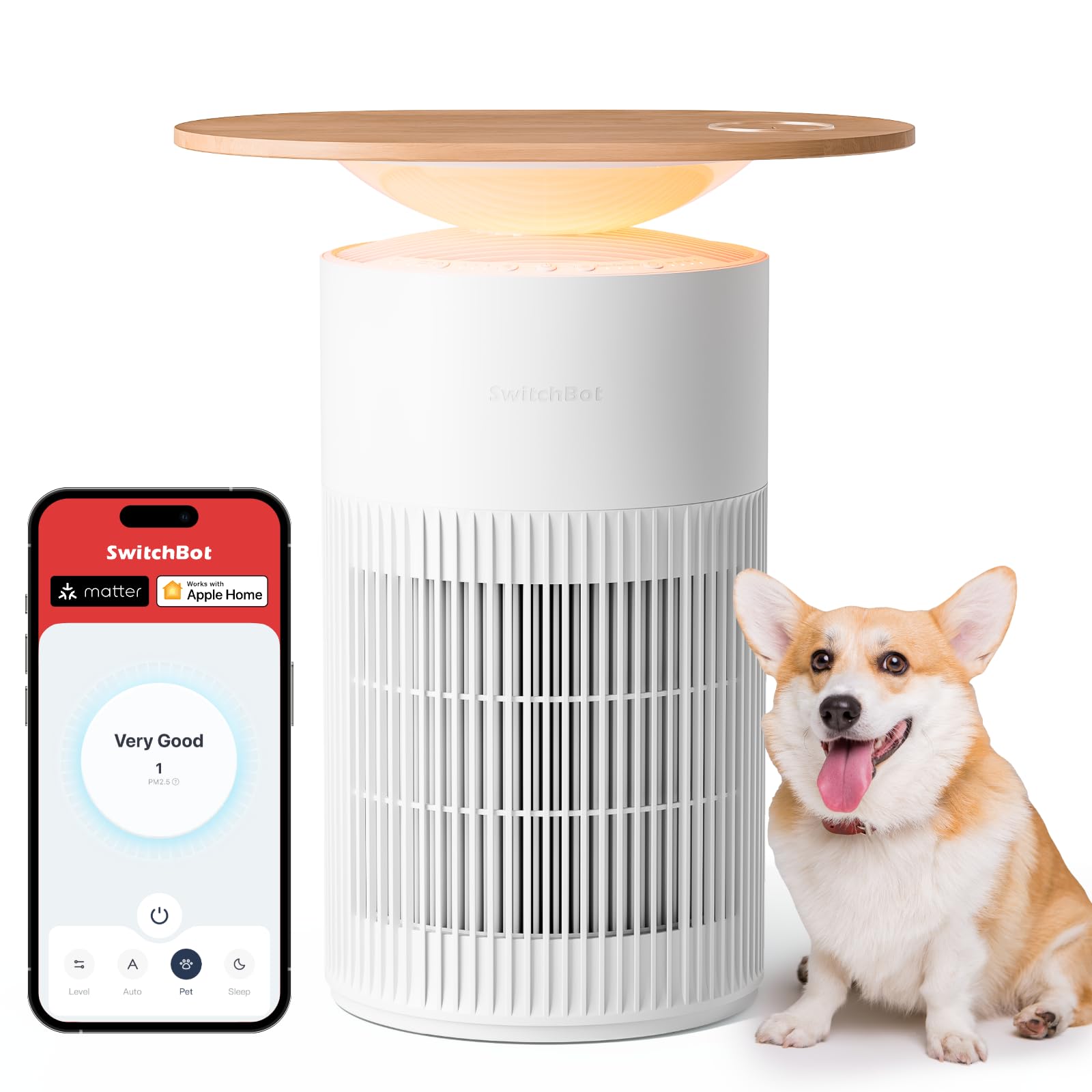 Amazon.com: SwitchBot Air Purifier Table for Home up to 3620 ft²