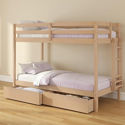 Bear Twin Over Twin Bunk Bed with Storage Drawers, Sturdy