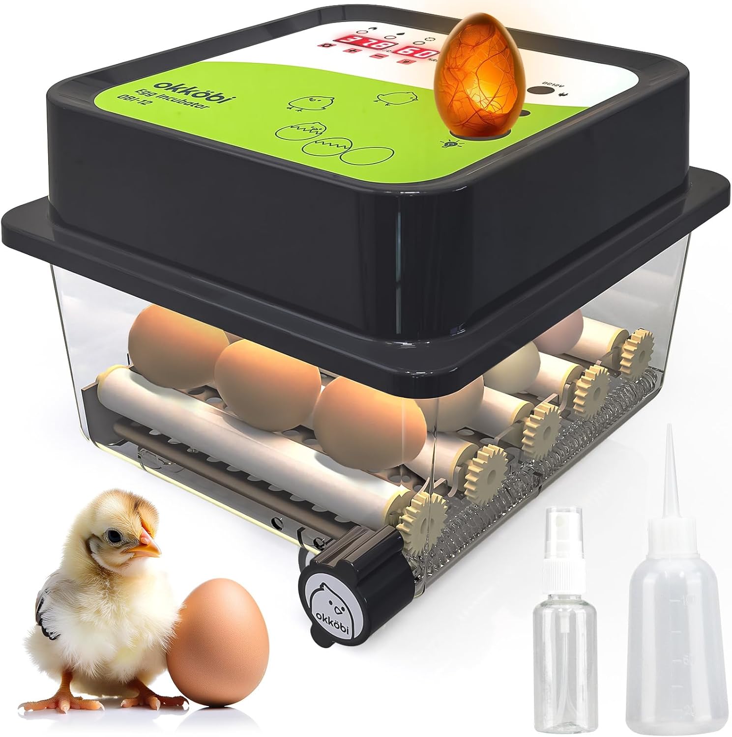 Incubators for Hatching Eggs - 12 Eggs - Ideal All Ages | Egg Incubator with Automatic Egg Turning and Humidity Control - Integrated Egg Candler - Okkobi OBI-12 Black Green