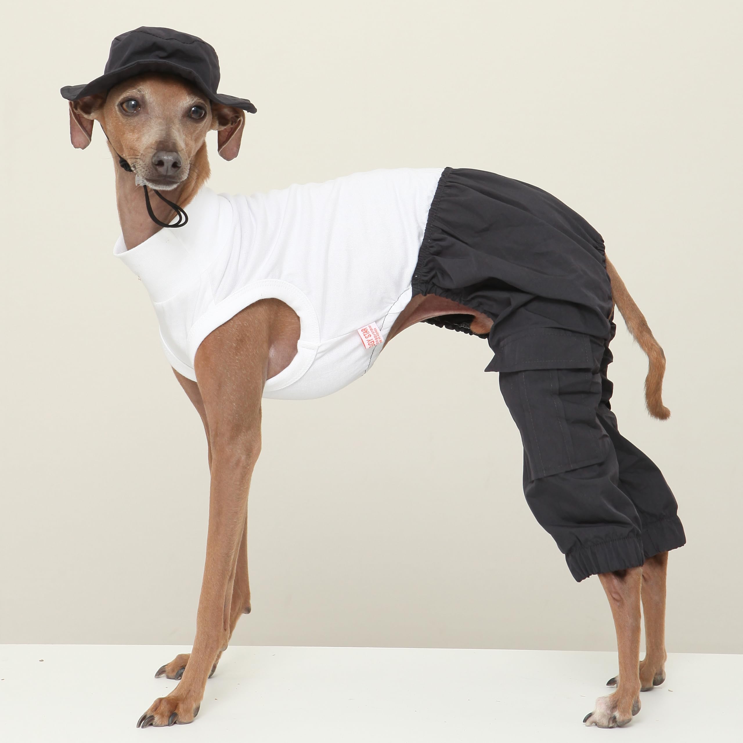 Amazon | D DOGGY STAR イタグレ 帽子 S M L 小型犬 中型犬 大型犬 春