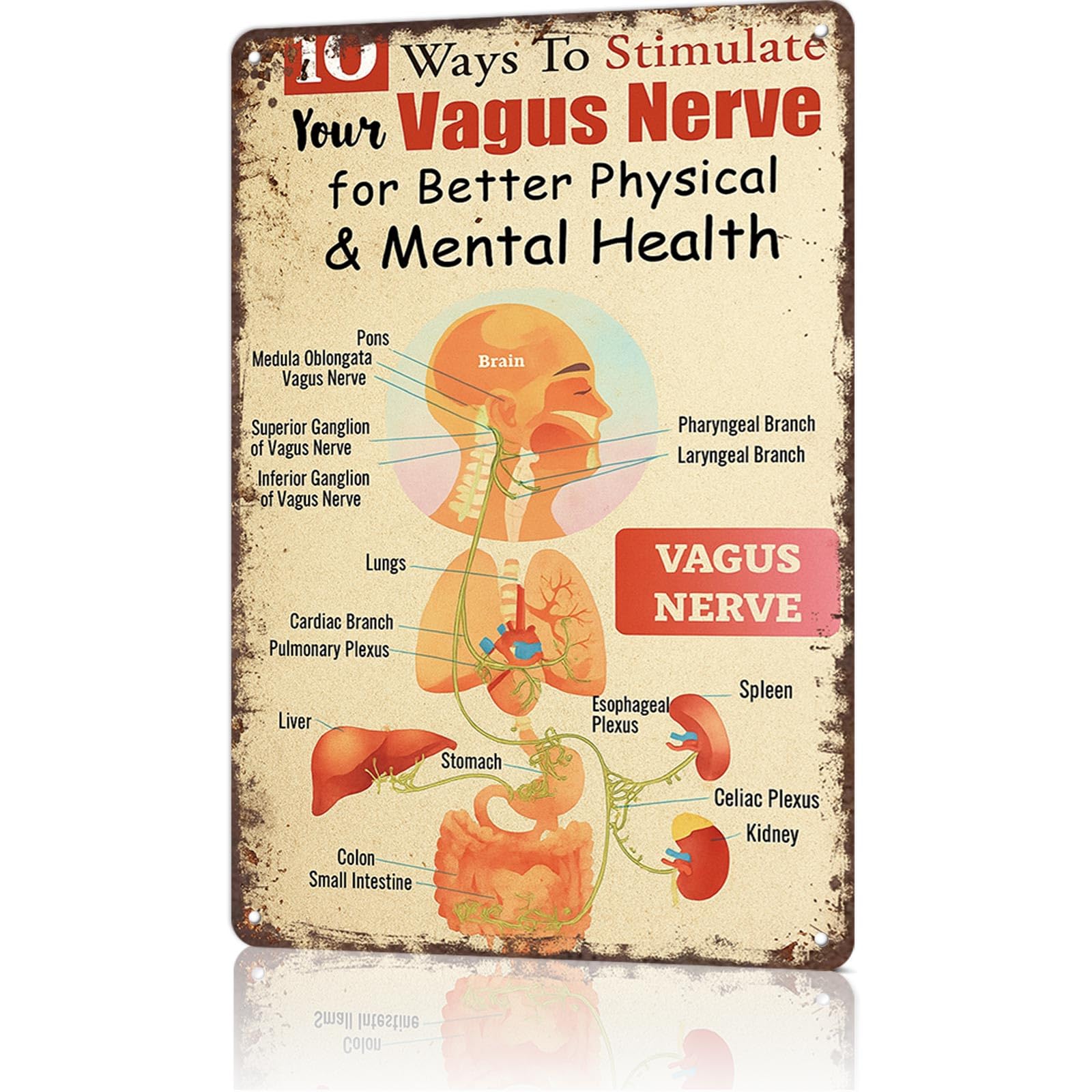KWQDOZF Vintage Metal Tin Sign Iron Wall Listing Stimulate The Vagus Nerve Posters Wall Art for Dorm Home Office Room Decor 8X12inch