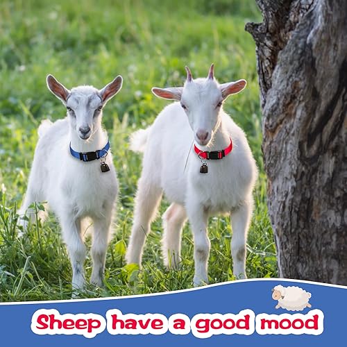 Miniatura 5 de Kwerdas Juego de 5 collares de cabra con campana, collar de nailon ajustable y campanas de cobre para pastoreo, pequeños animales de granja,