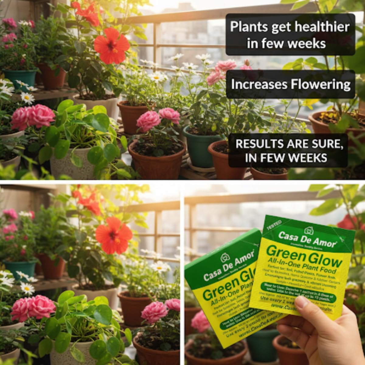 Casa De Amor Green Glow– All In One Plant Food | Complete Nutrition with NPK & Micronutrients | For All Indoor, Outdoor, Balcony Plants | 10 Sachets (200g) | Fast Growth & Flowering 27 715J uGCqqL. SL1200