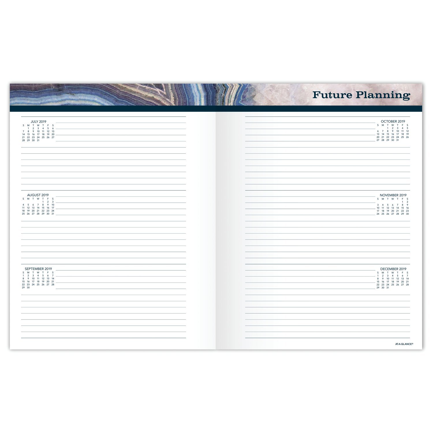 AT-A-GLANCE Academic Monthly Planner, July 2018 - June 2019, 8-1/2" x 11", Sapphire (1106-091A)