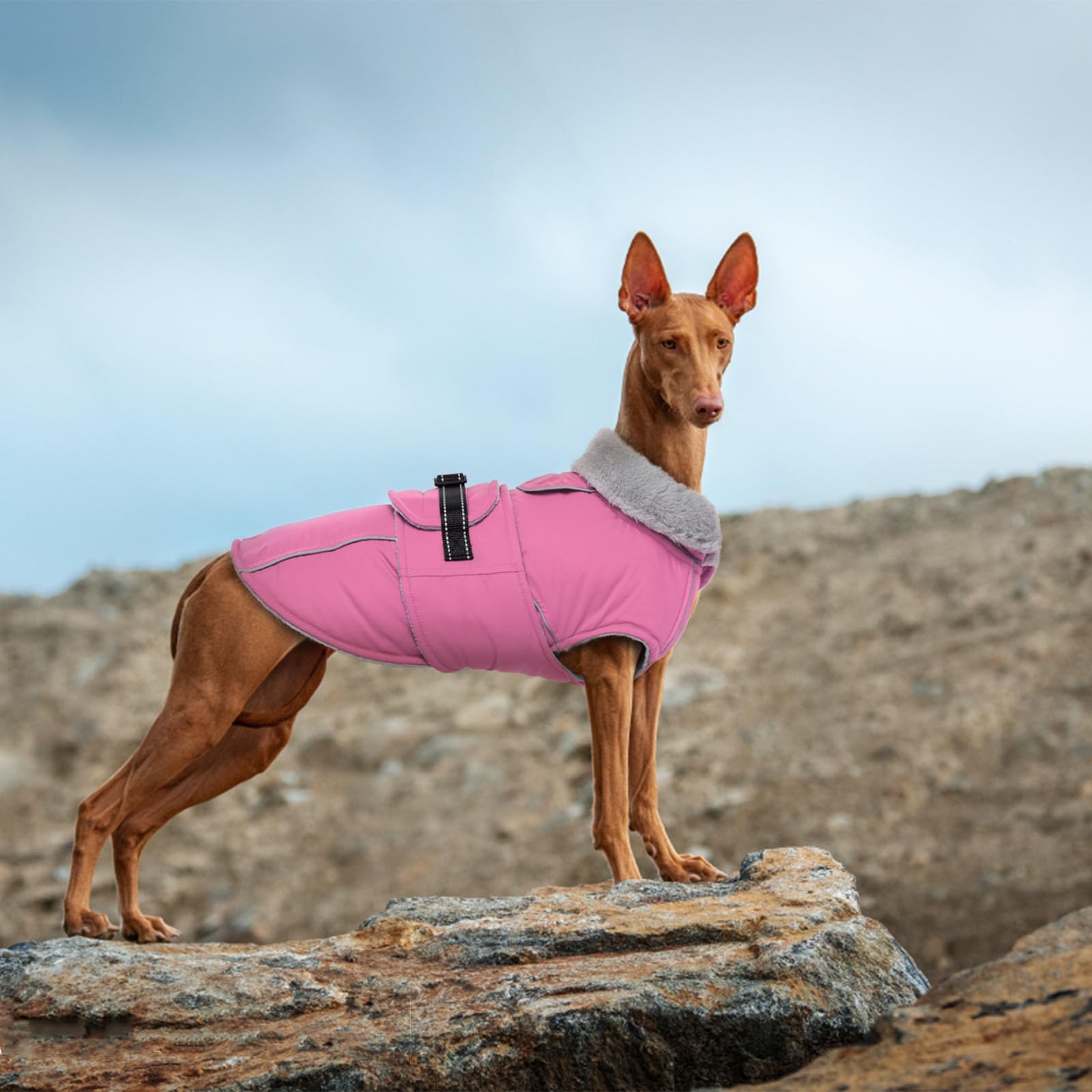 Lelepet Abrigo cálido para perro, chaleco de forro polar reflectante, impermeable, resistente al viento, abrigo de invierno para perro, abrigo para clima frío con hebilla ajustable, forro polar, traje