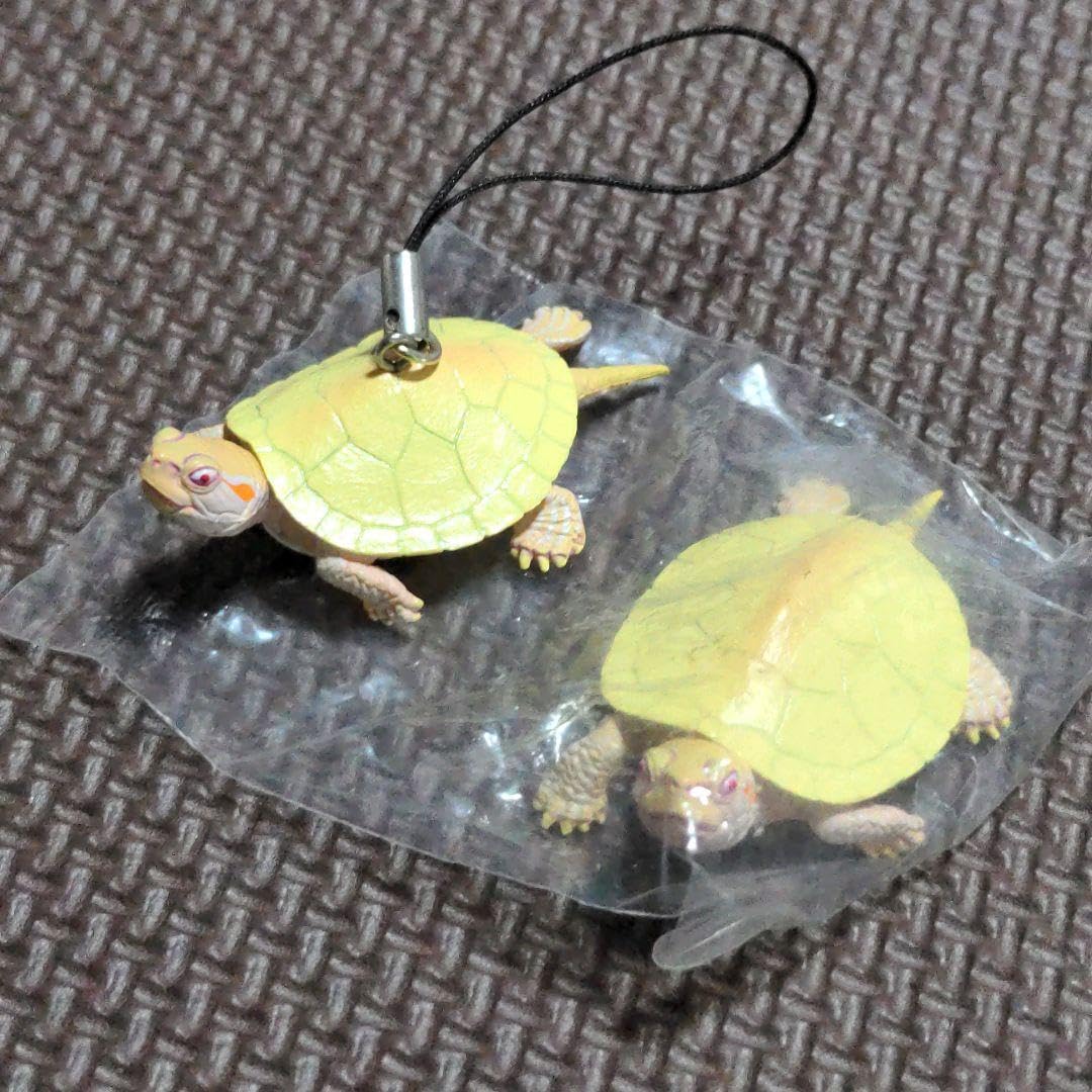 【みどりがめ】 Amazon.co.jp: 亀フィギュア ネイチャーテクニカラー MONO