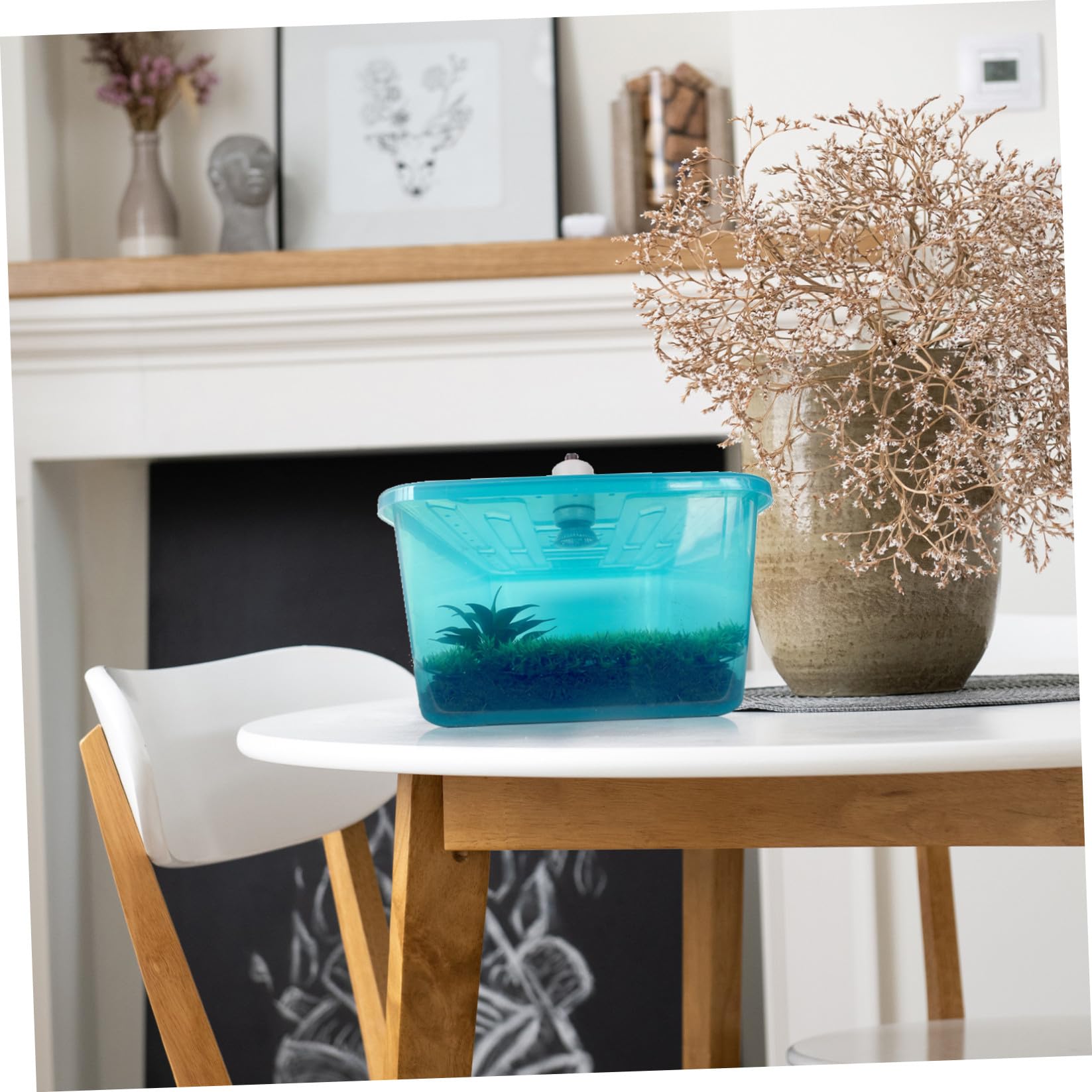INOOMP Acquaterrario Tartarughe Blu in Plastico Piattaforma per Asciugatura e Vasca Alimentazione Integrata, Terrario Pratico e Resistente per Rettili