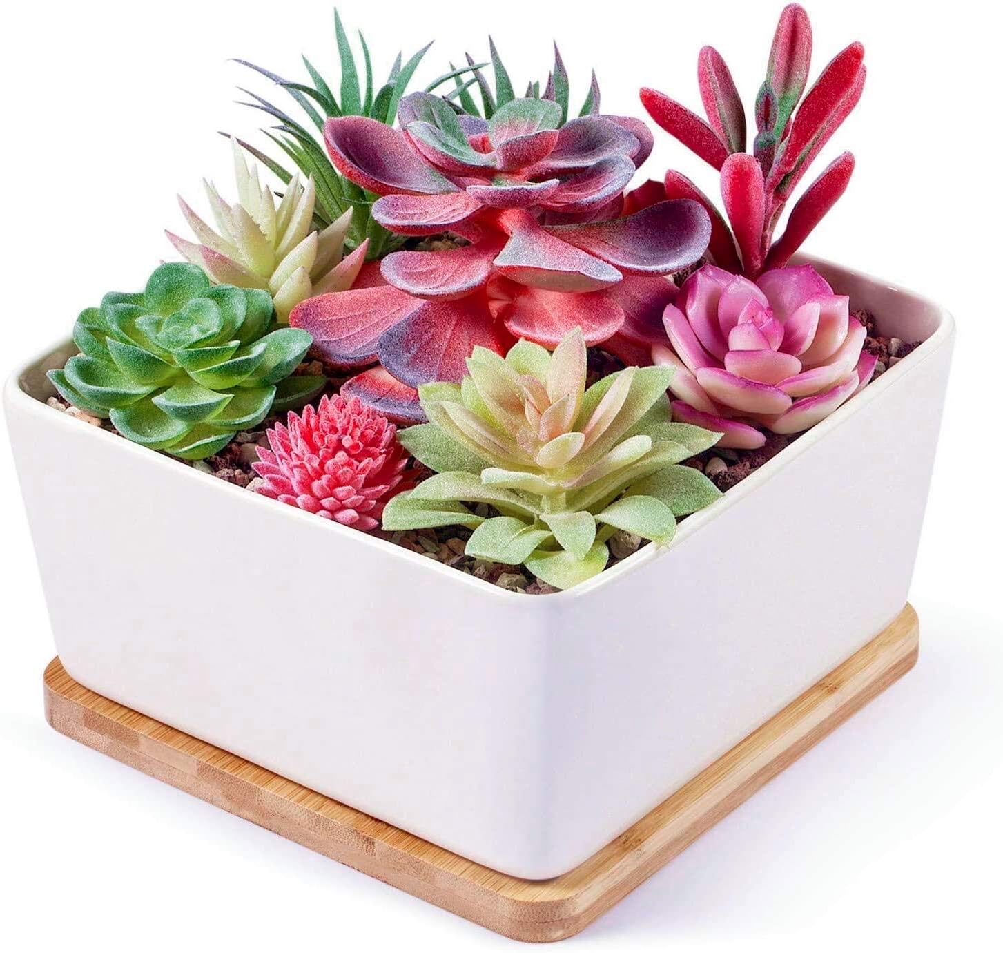 Binwen 7 inch Square Ceramic White Large Succulent planters Indoor Succulents Pots with Drainage Bamboo Trays