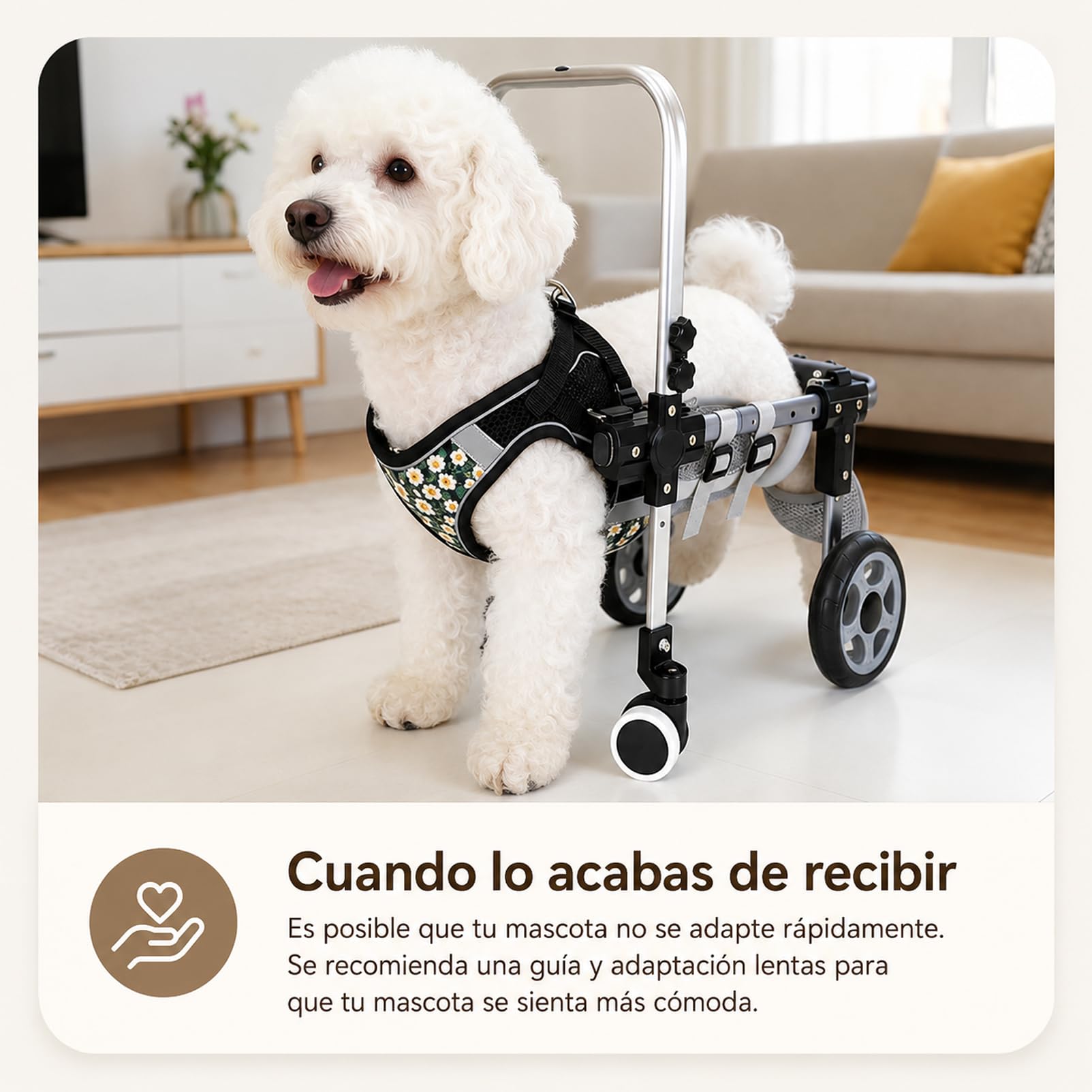 Silla De Ruedas Ajustable De 4 Ruedas Para Perros, Tanto Para Patas Delanteras Como Traseras. Ayuda Ligera De Movilidad Para Perros Lesionados, Discapacitados O Ancianos. Apta Para Razas Pequeñas Y Gr