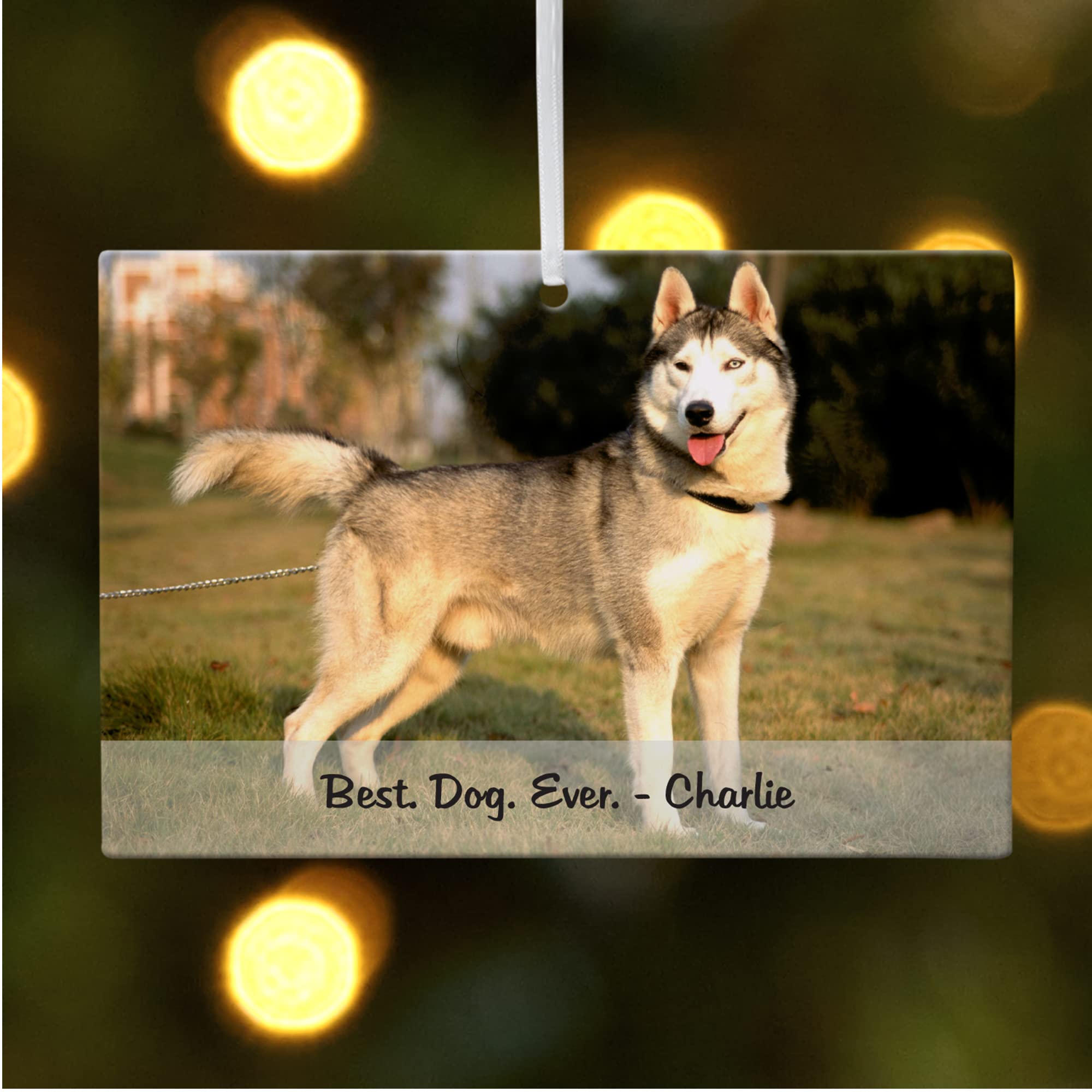 Let's Make Memories Personalized Pet Photo Rectangle Christmas Ornament - Dog/Cat - Furry Friends