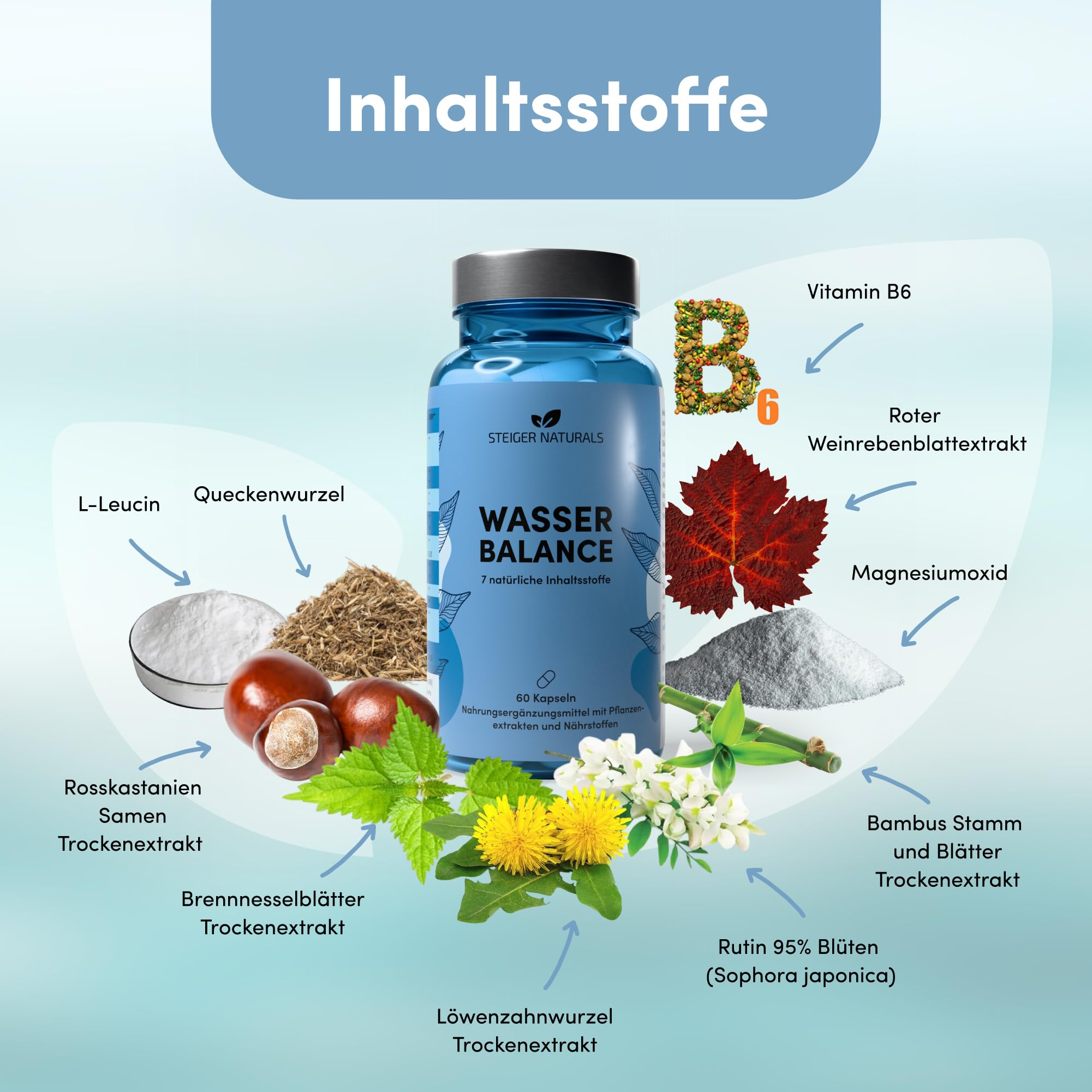 Steiger Naturals Wasser Balance – mit Brennnessel, Löwenzahn, Rosskastanie, Rutin, Magnesium & Vitamin B6 – 60 vegane Kapseln