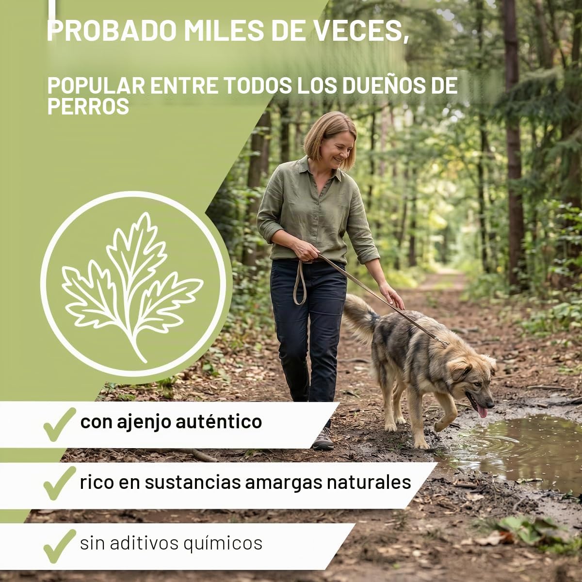 ReaVET Wormwood Mix Cápsulas para perros, 50 comprimidos, producto natural, armoniza el tracto gastrointestinal, flora intestinal sana, formulación de gusanos