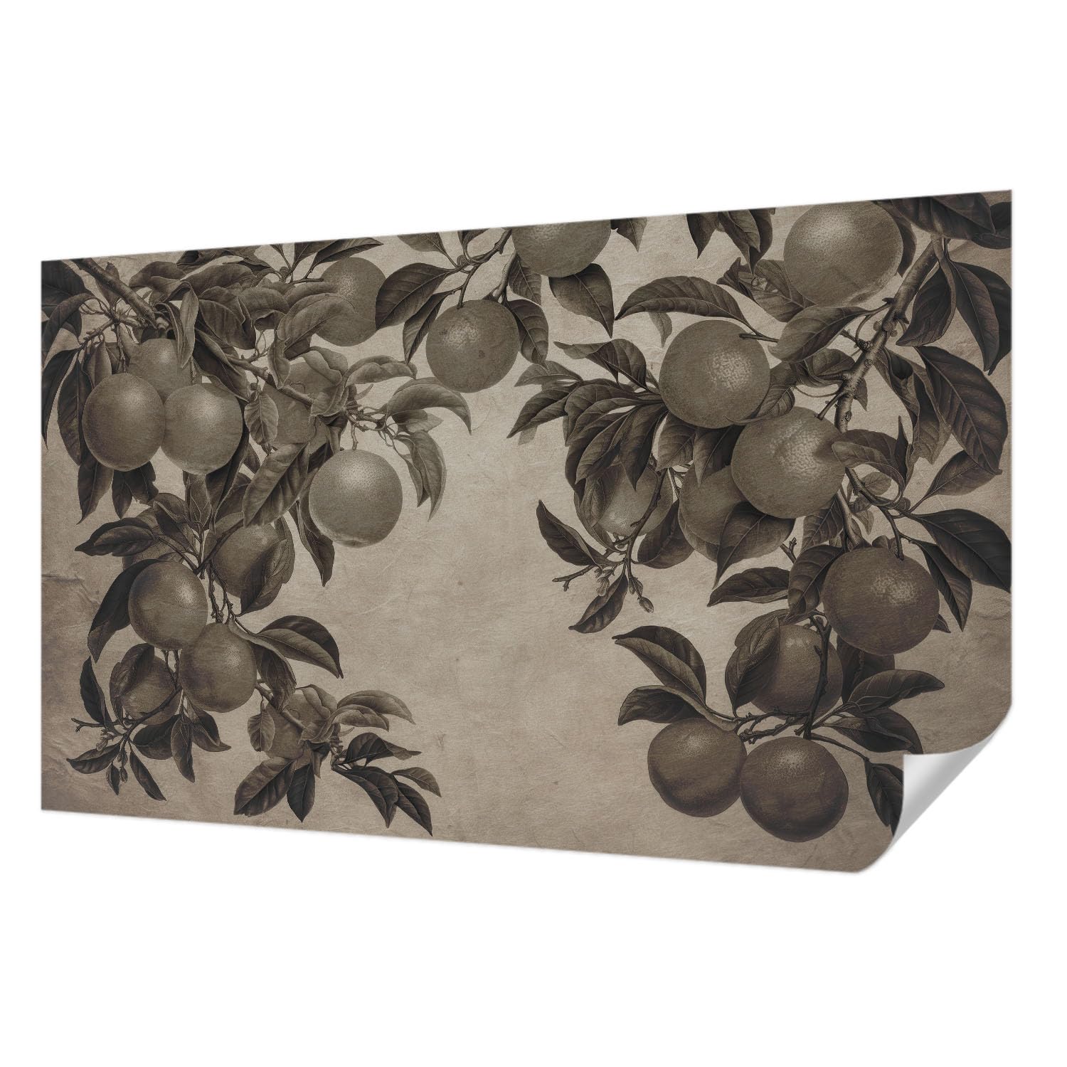 Papier peint autocollant résistant aux taches 416x254cm fruits