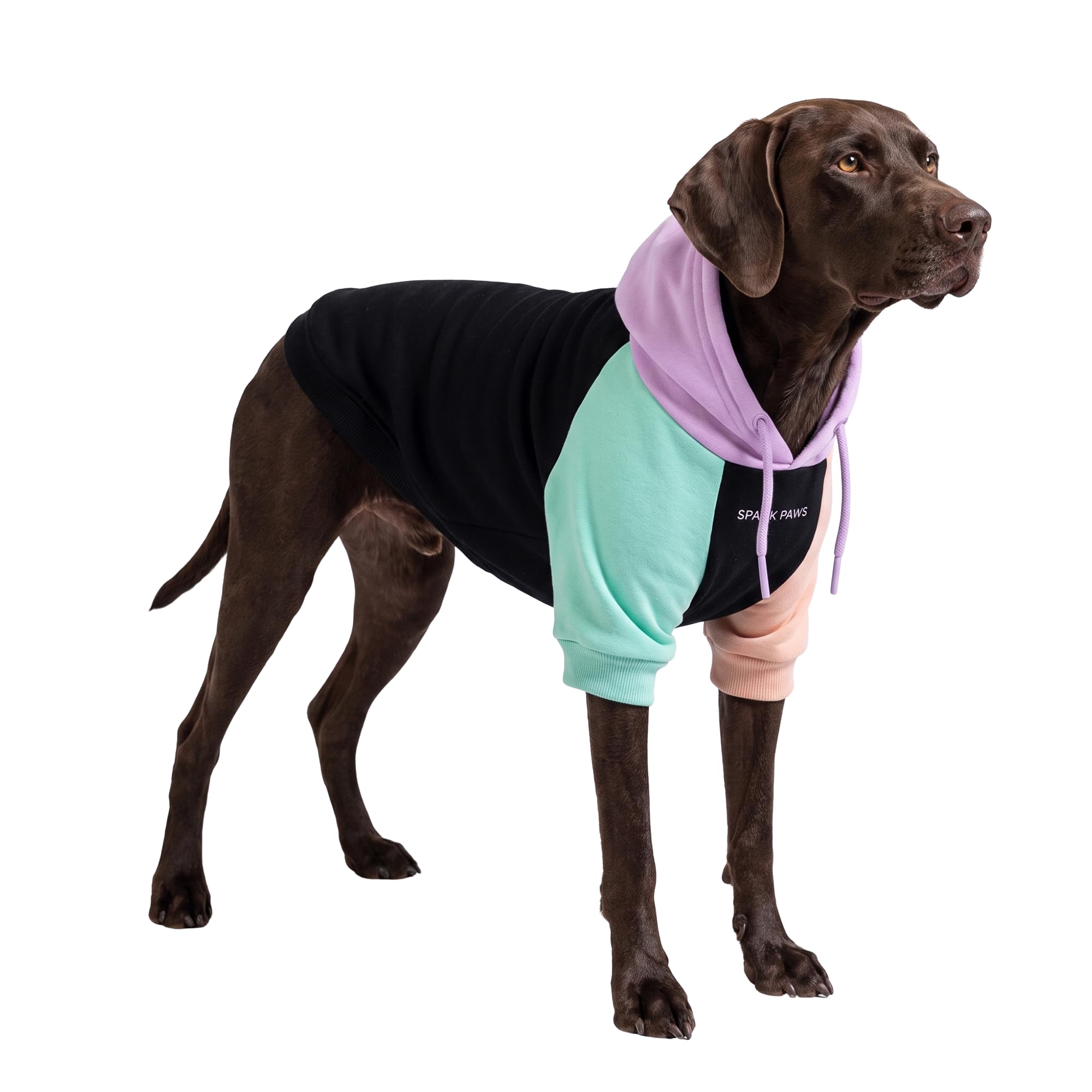 Spark Paws Dog Hoodie - Buttery-Soft Sweater Sweatshirt, Clothes for Puppy