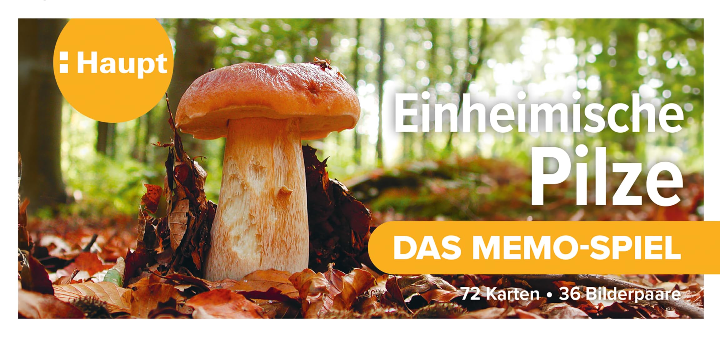 Einheimische Pilze – das Memo-Spiel