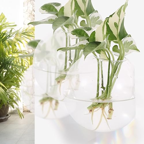 Miniatura 4 de Macetas colgantes de pared, paquete de 6 macetas de vidrio, jarrones redondos de vidrio, estación de propagación colgante, terrarios, contenedor