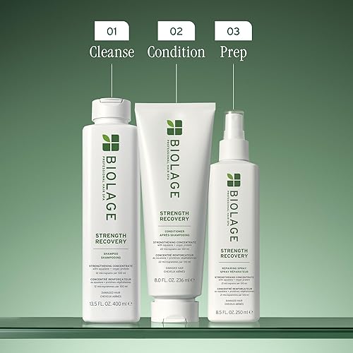 Miniatura 7 de BIOLAGE Strength Recovery Shampoo  Gently Cleanses  Reduces Breakage  For All Damaged  Sensitized Hair Types  Vegan  Cruelty-Free
