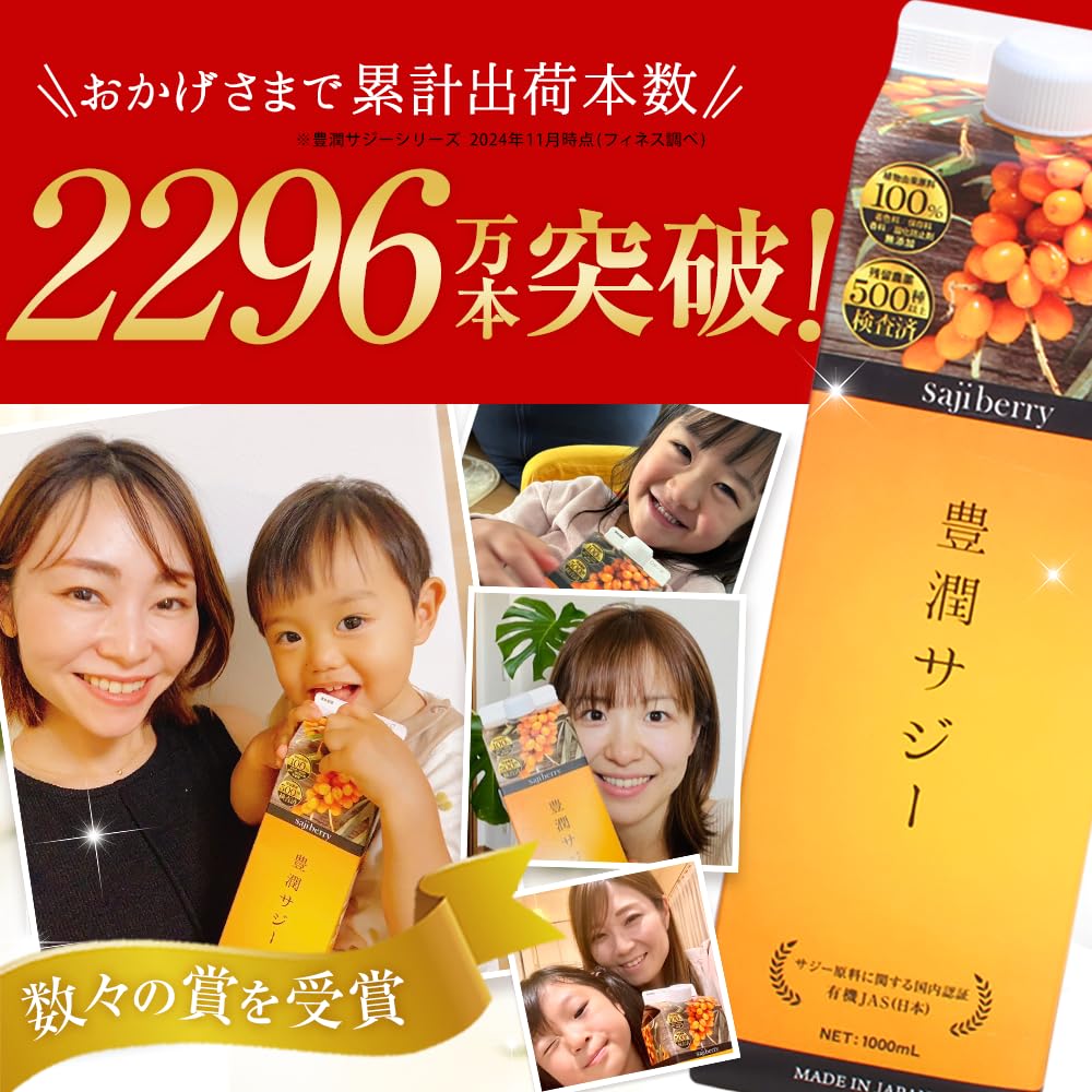 Amazon.co.jp: 豊潤サジー 1000ml サジージュース【紙パックタイプ 