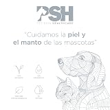Ver la foto 2