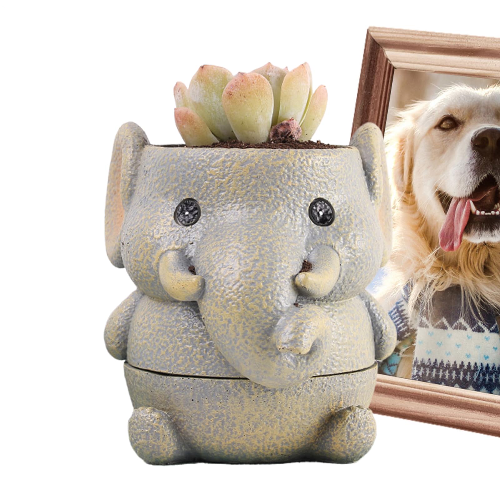 Pot de fleurs d'animaux pour intérieur cosy et décoration de plantes grasses