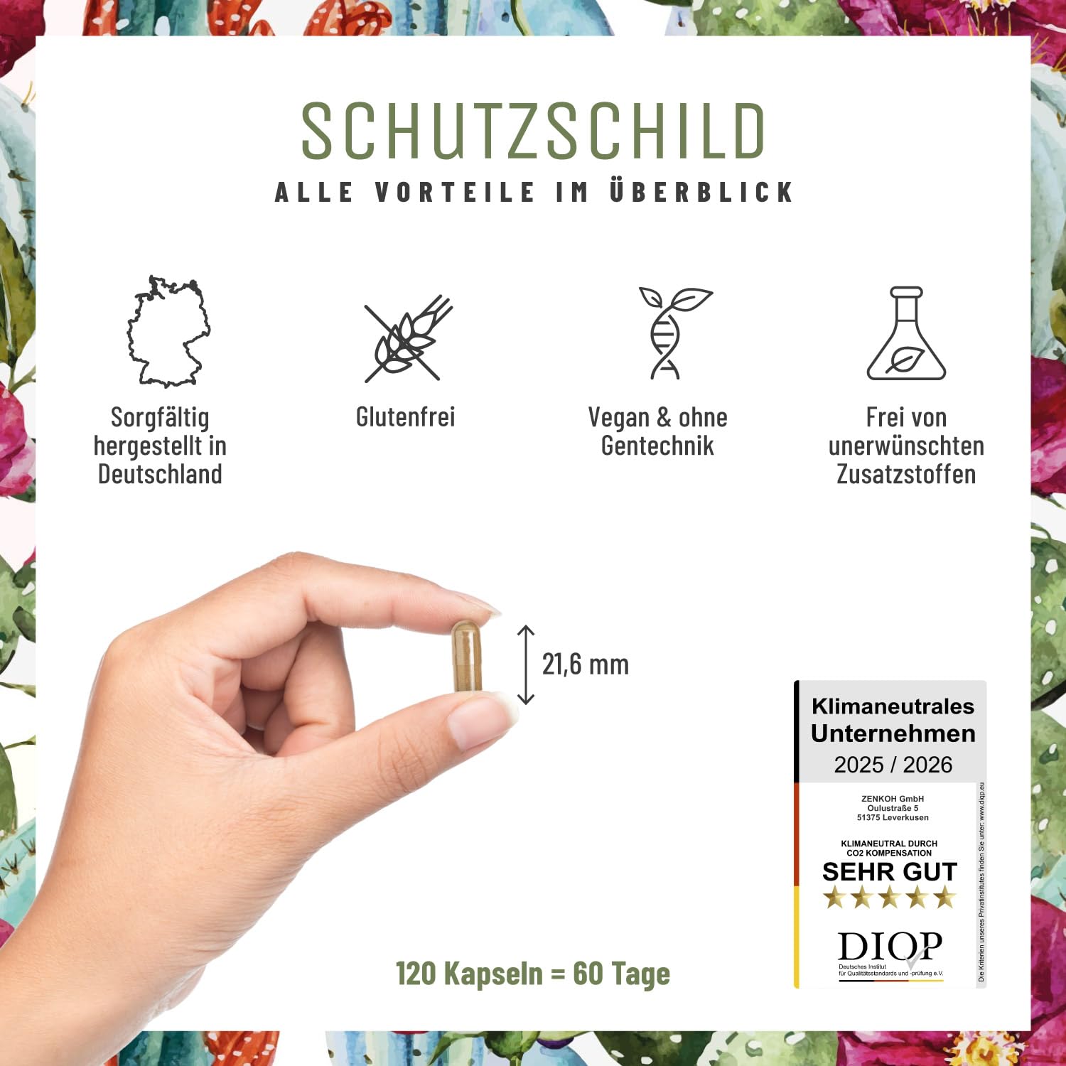 Immunsystem-Komplex - 500mg Echinacea mit Vitamin C Zink Selen L-Histidin & Kalmegh - Immunsystem stärken * vegan & ohne Zusätze - 120 Echinacea Purpurea Kapseln für 60 Tage