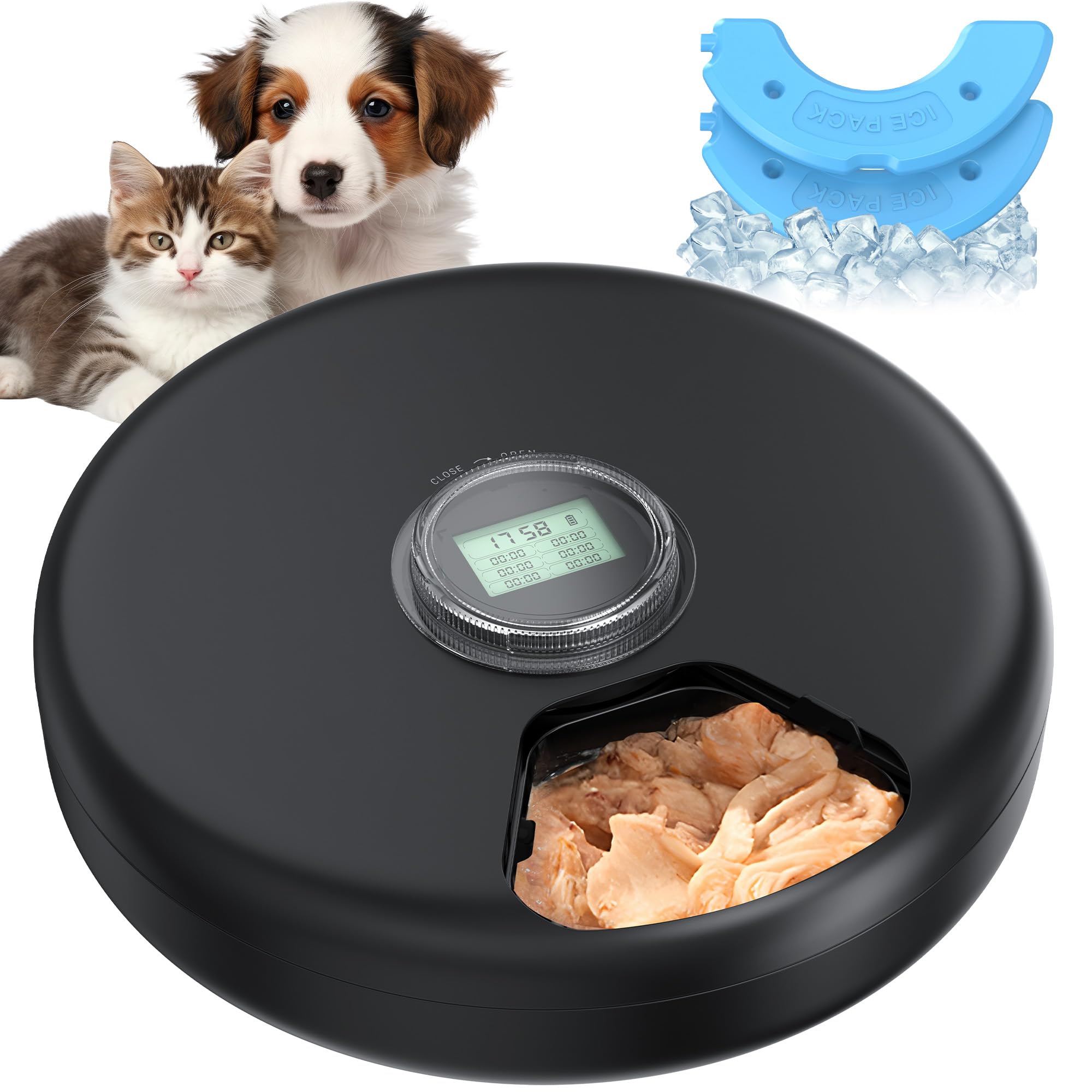 Distributore Automatico Cibo Gatti Umido: Dispenser Crocchette Gatto - Dosatore Crocchette per Gatti senza Fili - Dispenser Cibo Gatto 3AA Batteria - Distributore per Cani Timer - Refrigerazione