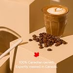 Bridgehead | Bytown Boom | Whole Bean | Organic | Fairtrade | Sustainable | Proudly Canadian