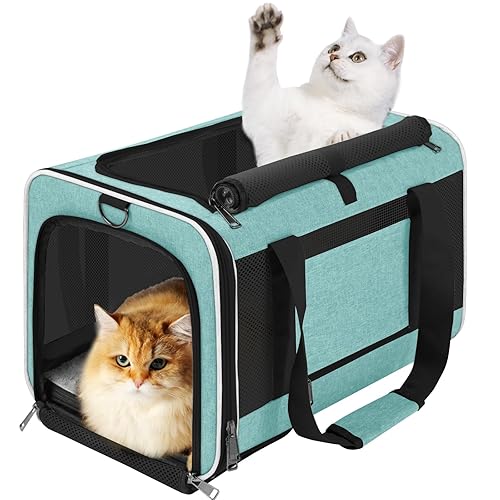 GAPZER Soft Cat Carrier Large Cat 20 lbs/Kitty Cat Travel