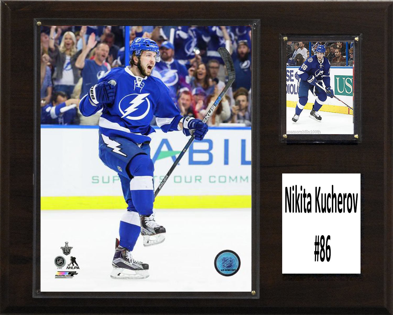 C&I Collectables NHL Tampa Bay Lightning Nikita Kucherov Lighting Player Plaque, Brown, 12