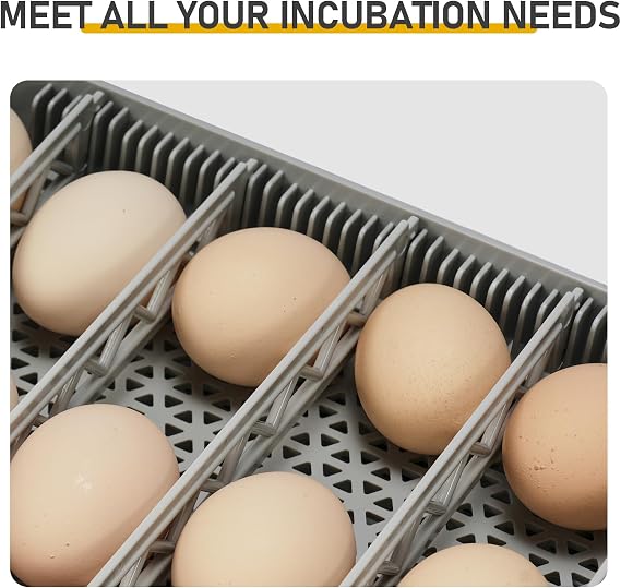 48 Chicken Egg Incubator, Automatic Egg Turner & Built-in Egg Candler, Easy-to-Read Humidity Display, Clear 360 Visibility for Home & Classroom Hatching