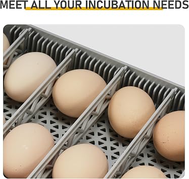 48 Chicken Egg Incubator, Automatic Egg Turner & Built-in Egg Candler, Easy-to-Read Humidity Display, Clear 360 Visibility for Home & Classroom Hatching