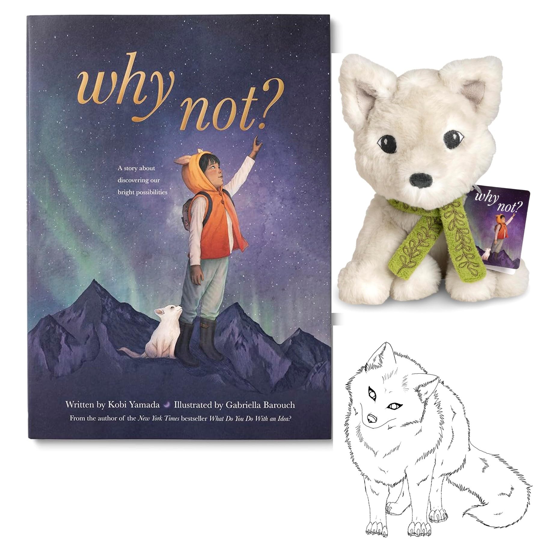 Amazon.com: Why Not? Set with Hardcover by Kobi Yamada, Arctic Fox