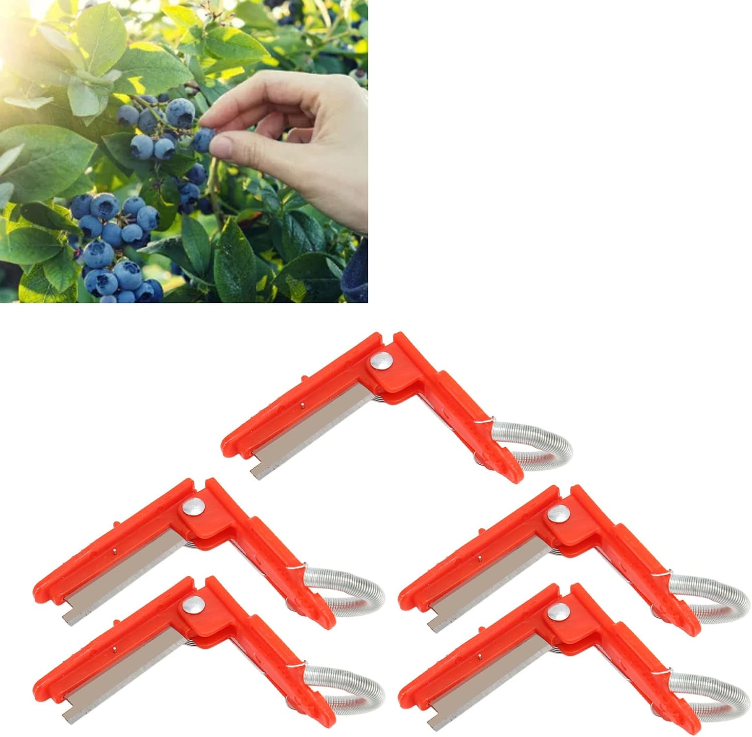 Zerodis 10Pcs Thumb Pruner Knife Multi Function Thumb Fruit Picking Device for Fruit Vegetable Garden Garden Plant Tape Tool for Grapes Raspberries Tomatoes and Vegetables image 3
