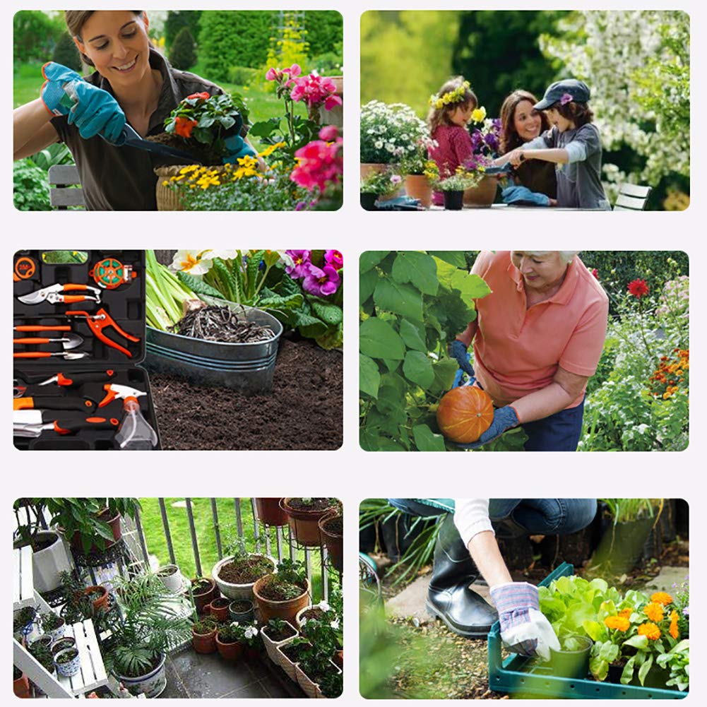 Lot de 12 outils de jardinage pour jardinage avec truelle et fourchette