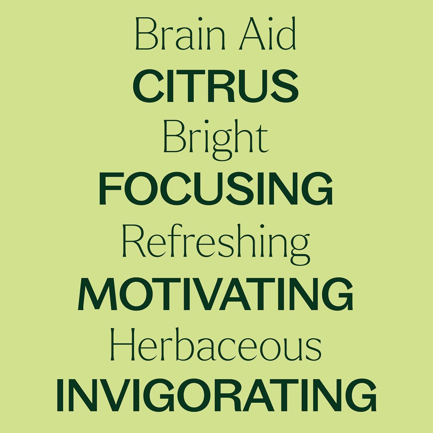 Plant Therapy Brain Aid Essential Oil Blend 30 mL (1 oz), 100% Pure & Undiluted, Aromatherapy for Focus, Concentration & Mental Clarity - Image 4