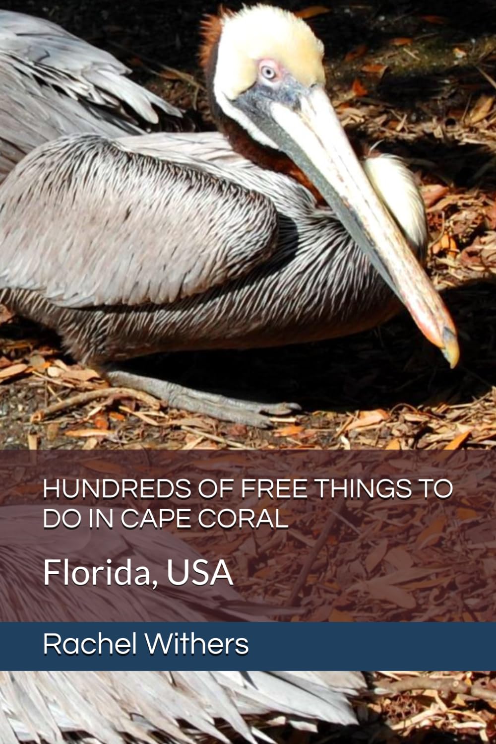HUNDREDS OF FREE THINGS TO DO IN CAPE CORAL: Florida, USA