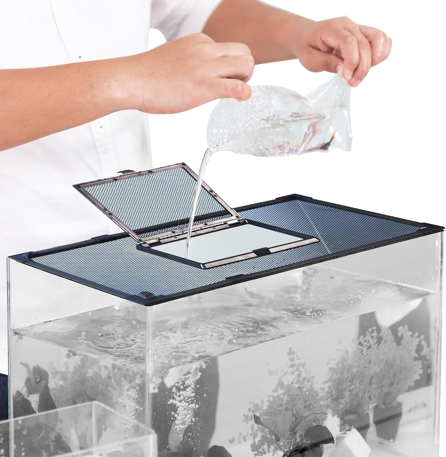 Rete Magnetica Anti-Salto Per Acquario - Copertura Magnetica Personalizzabile, Per Proteggere I Pesci