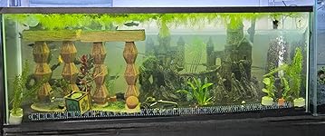 Review Image by Veneranda