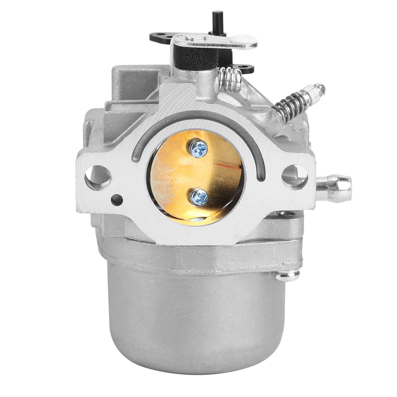 Carburateur Moteur 12 HP 12,5 HP pour 799728 498027 16x10x7