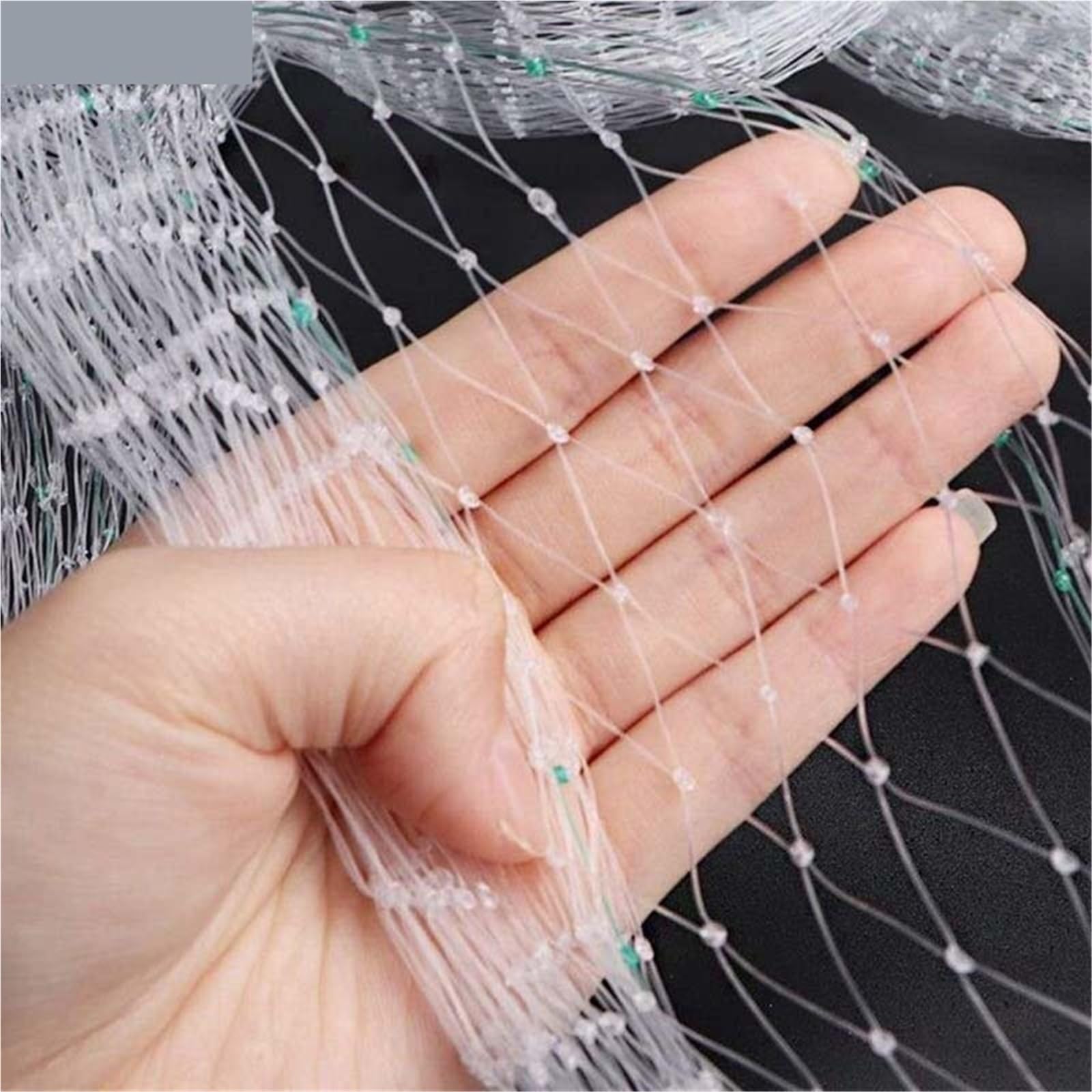 Red de protección antipájaros de 10 metros más gruesa para árboles frutales, verduras, flores, protección para plantas (agujero de 2 cm, 1 x 10 m)